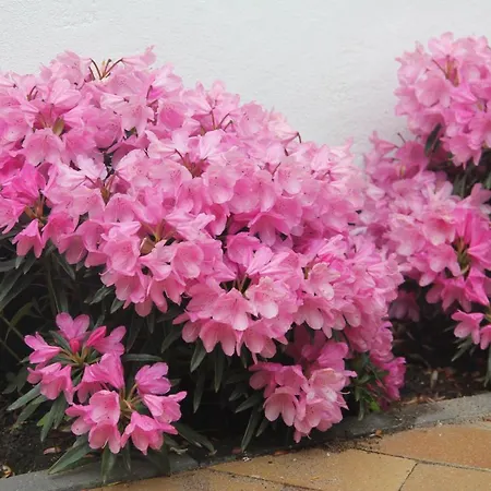 Odense City B&B Bed & Breakfast